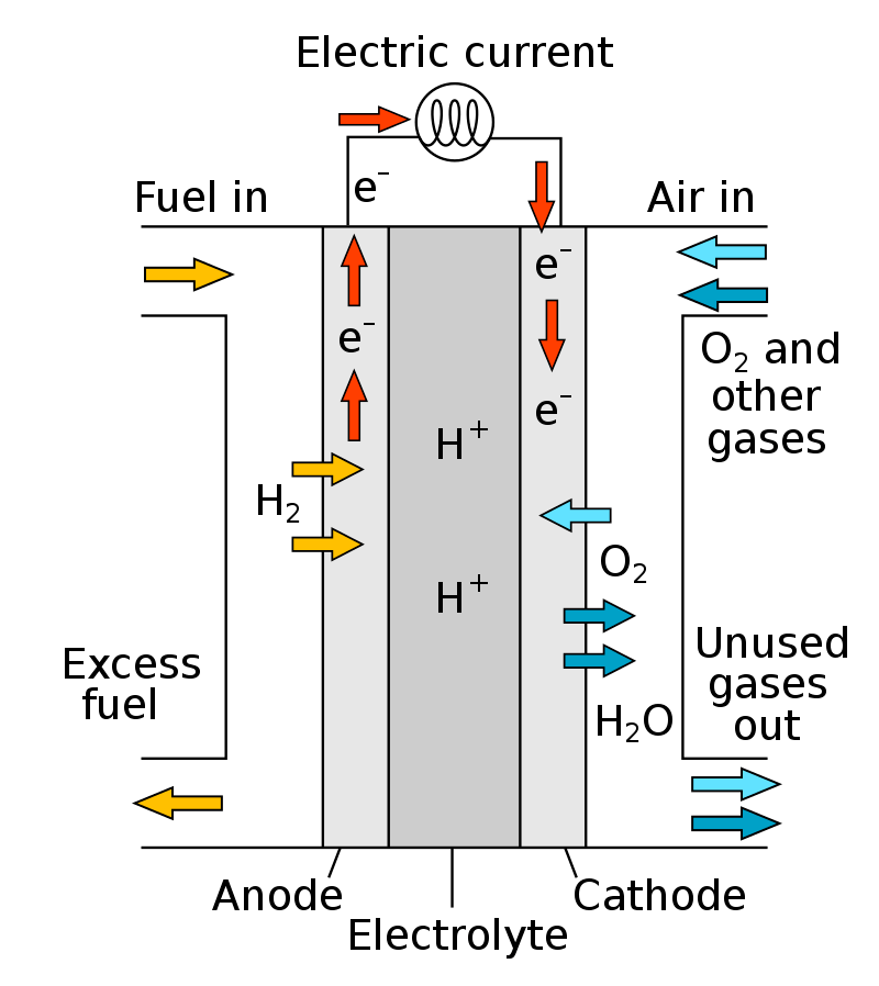 Schematic diagram of a proton exchange membrane (PEM) fuel cell 